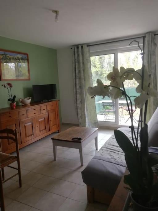 Appartement Avignon Garage-Spacieuse Terrasse Ngoại thất bức ảnh